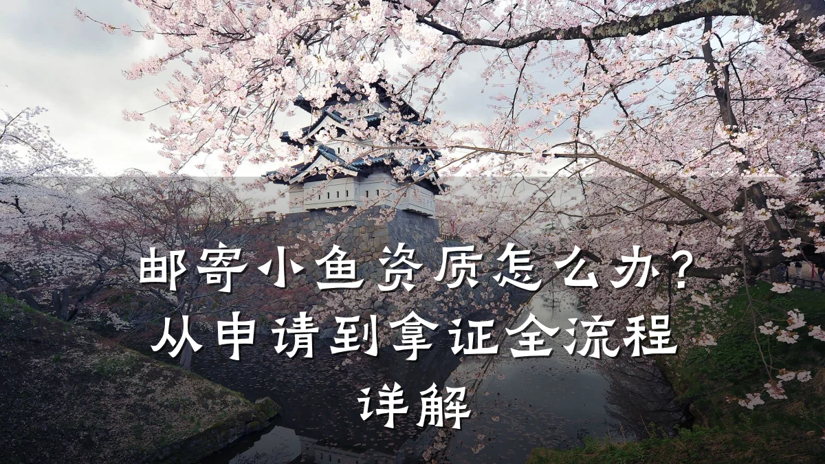 邮寄小鱼资质怎么办？从申请到拿证全流程详解