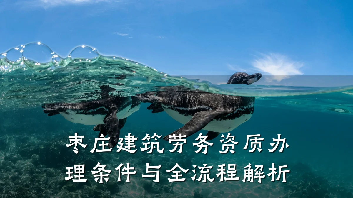 枣庄建筑劳务资质办理条件与全流程解析