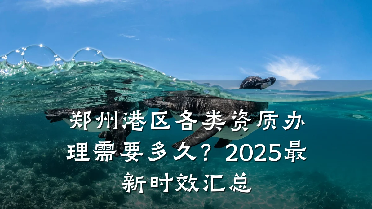 郑州港区各类资质办理需要多久?2025最新时效汇总