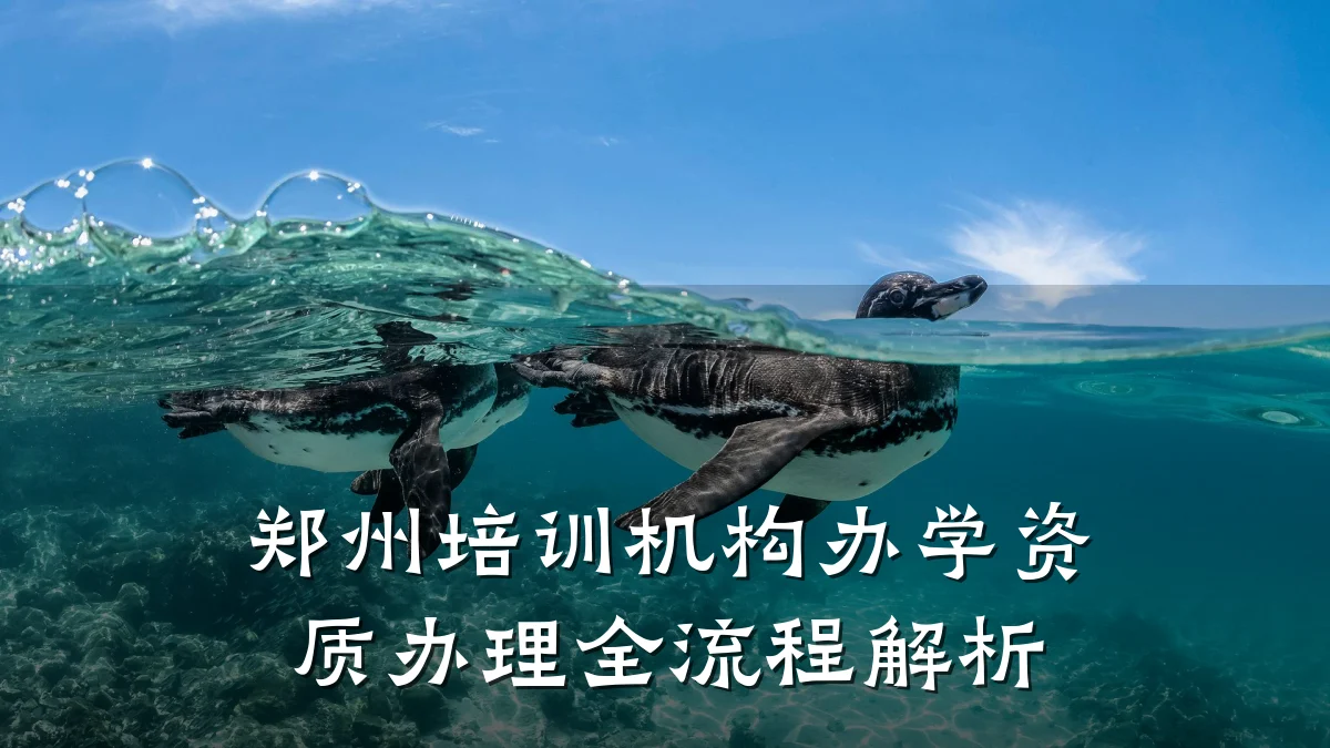 郑州培训机构办学资质办理全流程解析