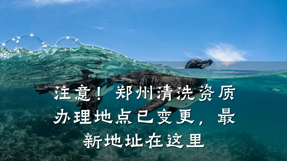 注意！郑州清洗资质办理地点已变更，最新地址在这里