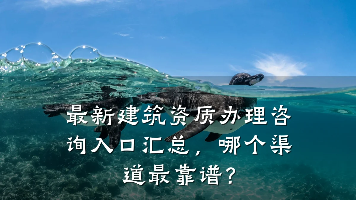 最新建筑资质办理咨询入口汇总，哪个渠道最靠谱？