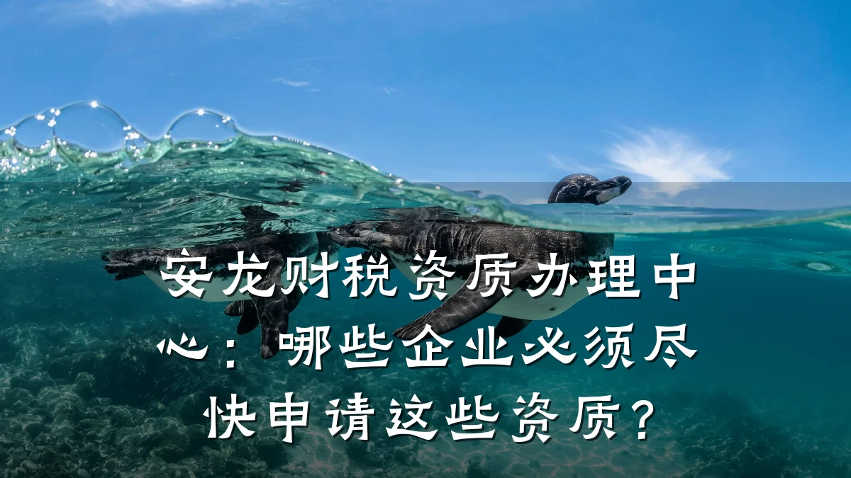 安龙财税资质办理中心:哪些企业必须尽快申请这些资质?