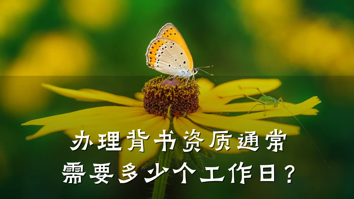 办理背书资质通常需要多少个工作日？
