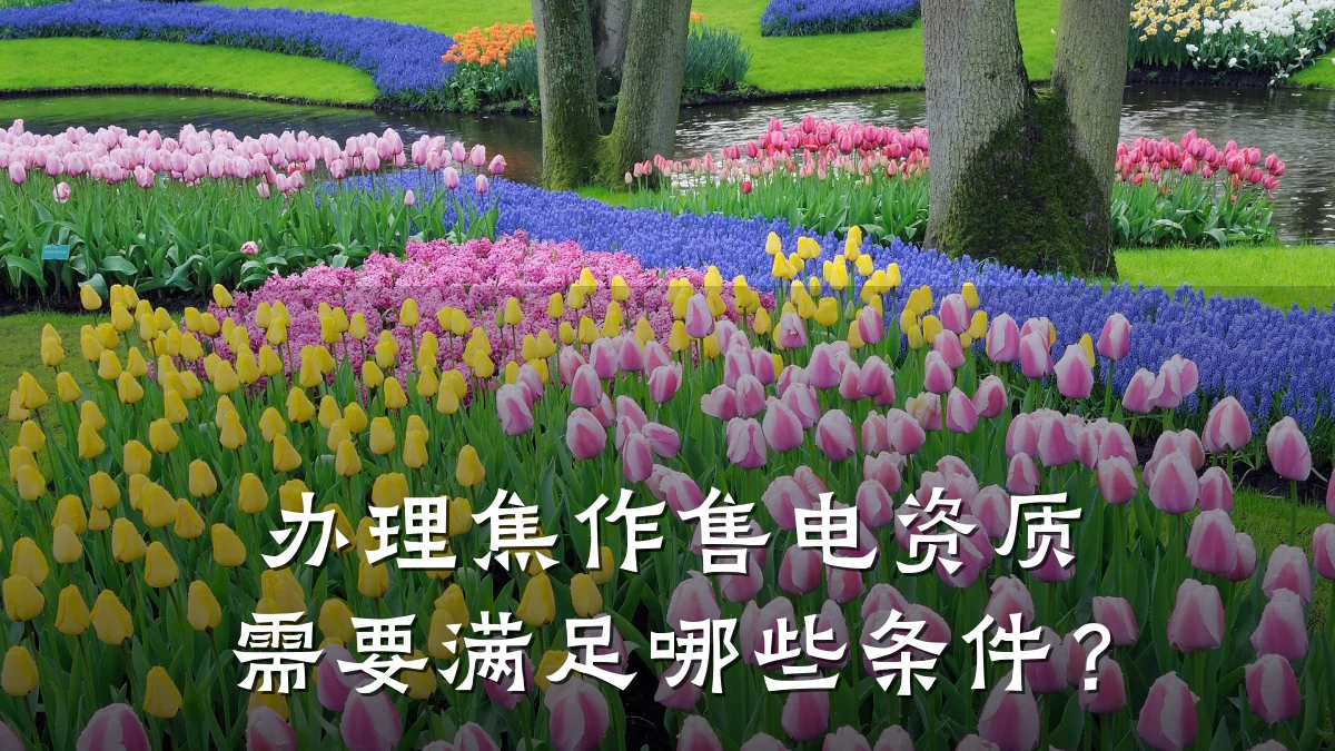 办理焦作售电资质需要满足哪些条件?