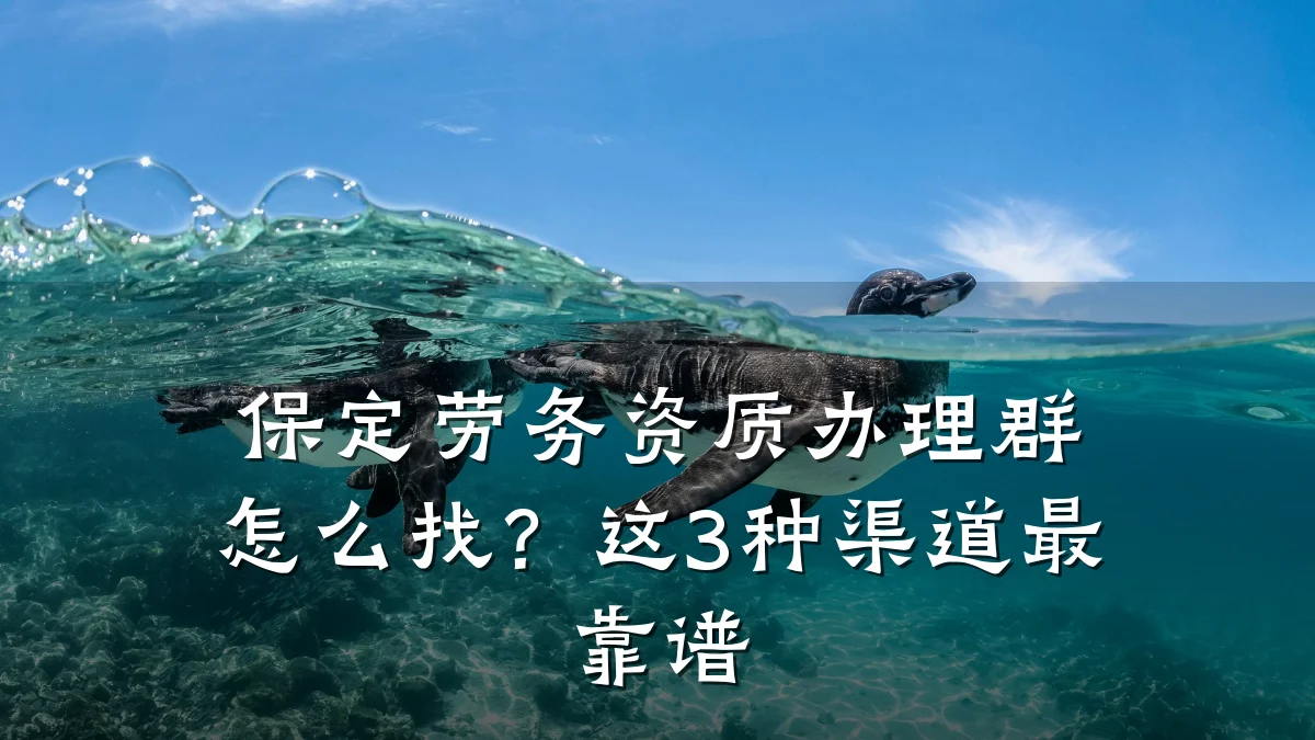 保定劳务资质办理群怎么找?这3种渠道最靠谱