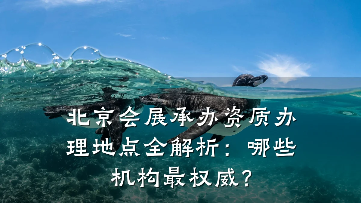 北京会展承办资质办理地点全解析：哪些机构最权威？