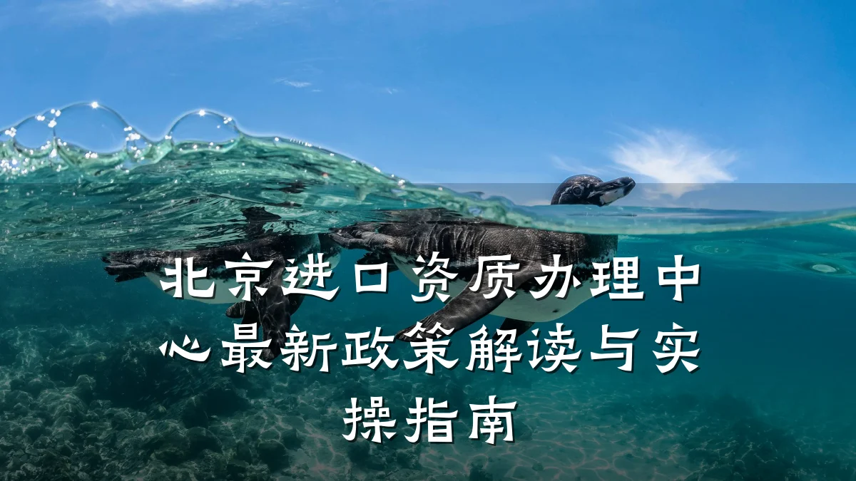 北京进口资质办理中心最新政策解读与实操指南
