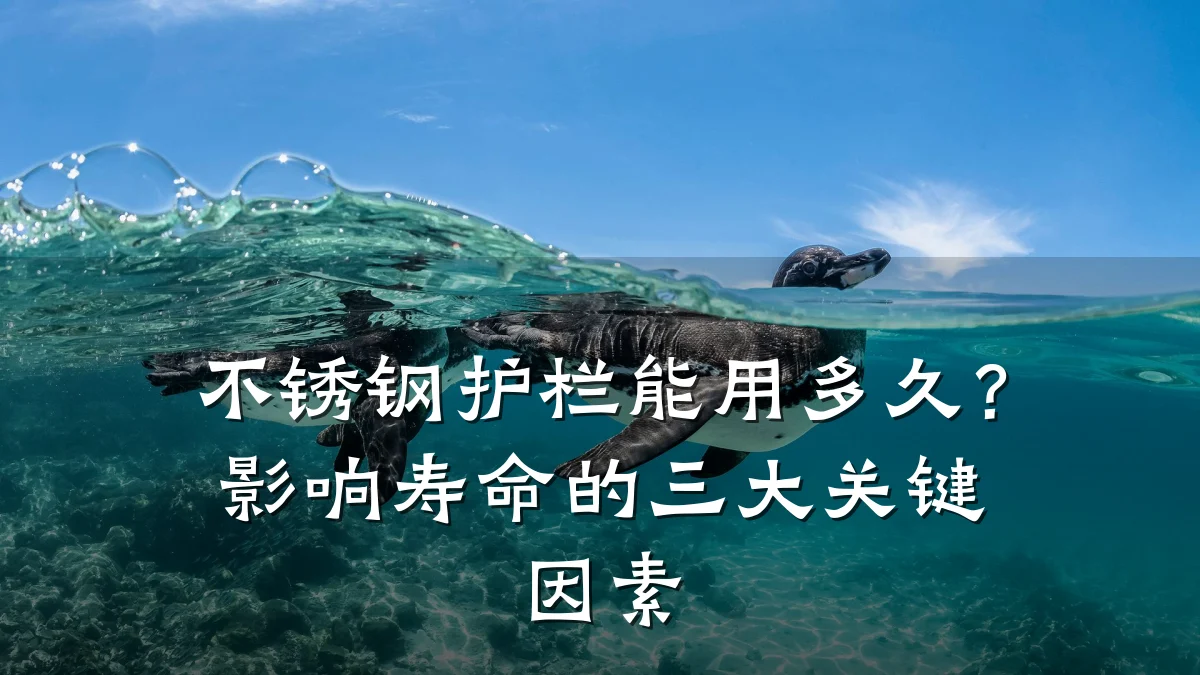 不锈钢护栏能用多久？影响寿命的三大关键因素