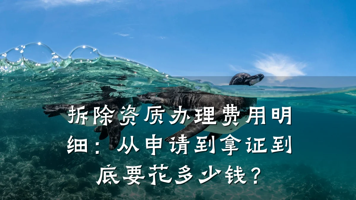 拆除资质办理费用明细:从申请到拿证到底要花多少钱?