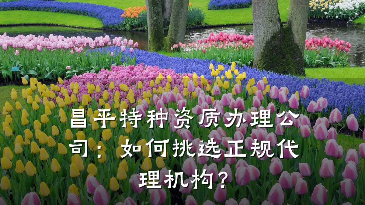 昌平特种资质办理公司:如何挑选正规代理机构?