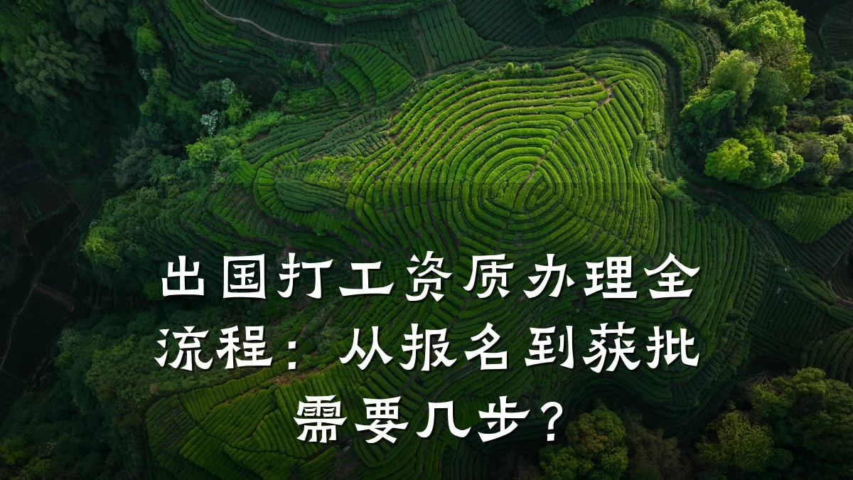 出国打工资质办理全流程：从报名到获批需要几步？