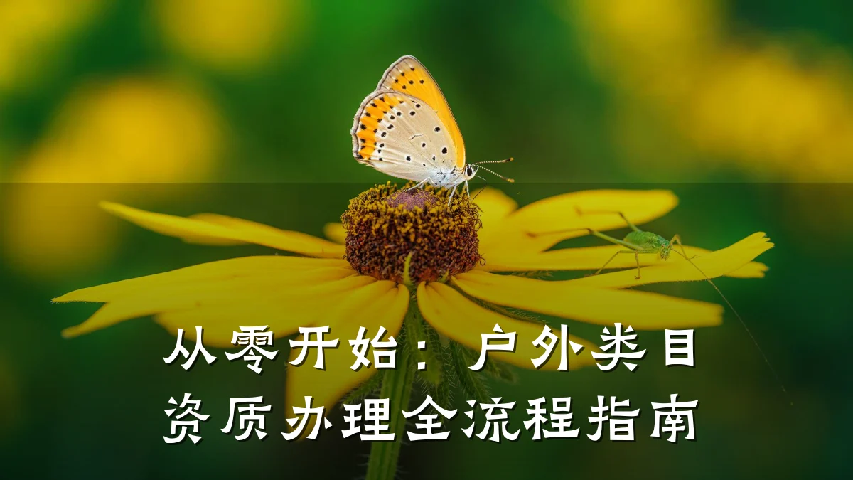 从零开始：户外类目资质办理全流程指南