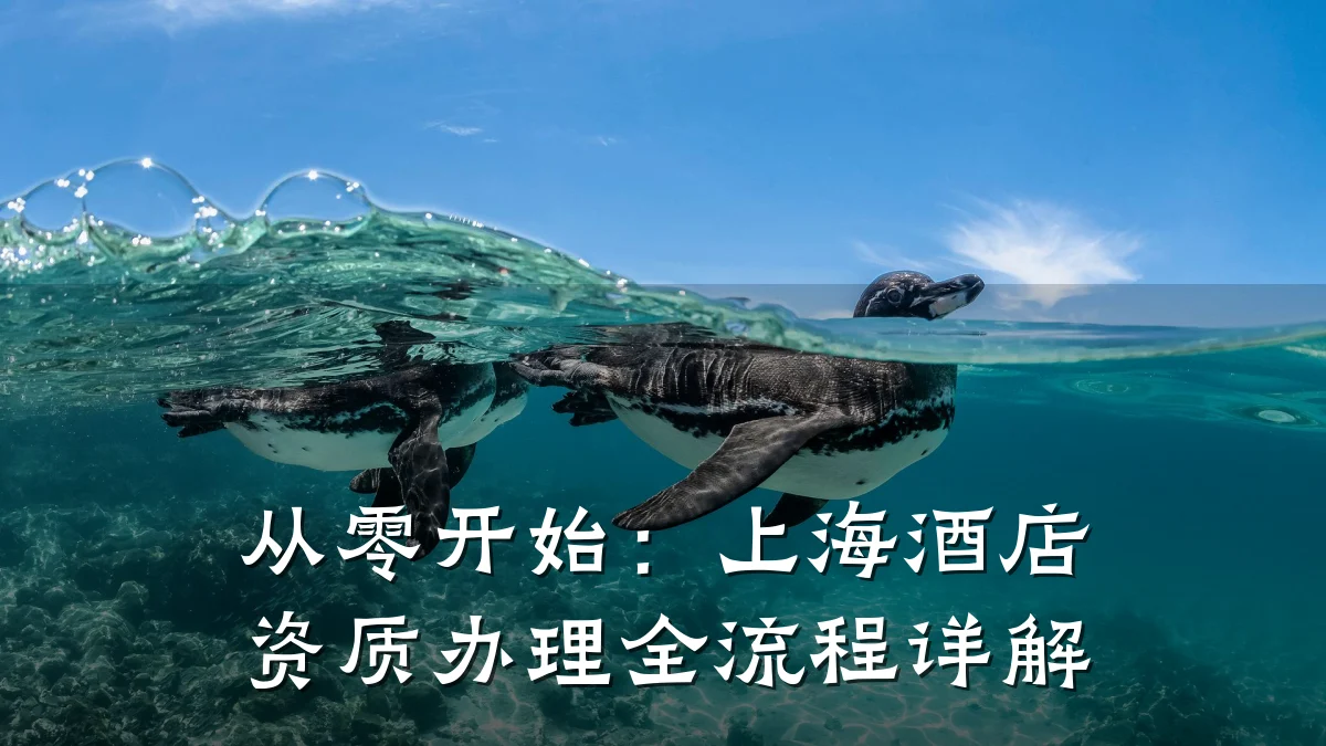 从零开始：上海酒店资质办理全流程详解