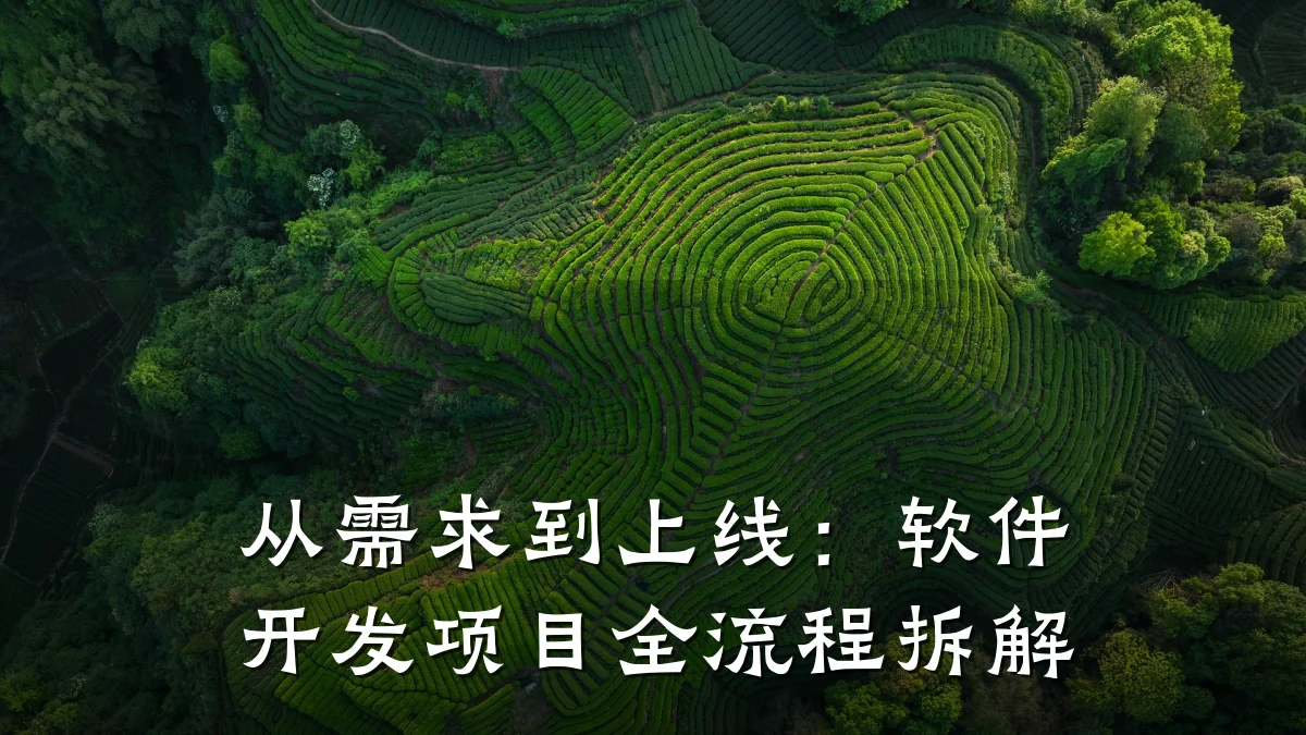 从需求到上线:软件开发项目全流程拆解