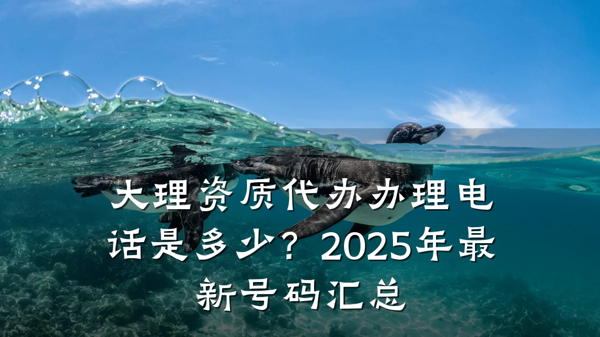 大理资质代办办理电话是多少？2025年最新号码汇总
