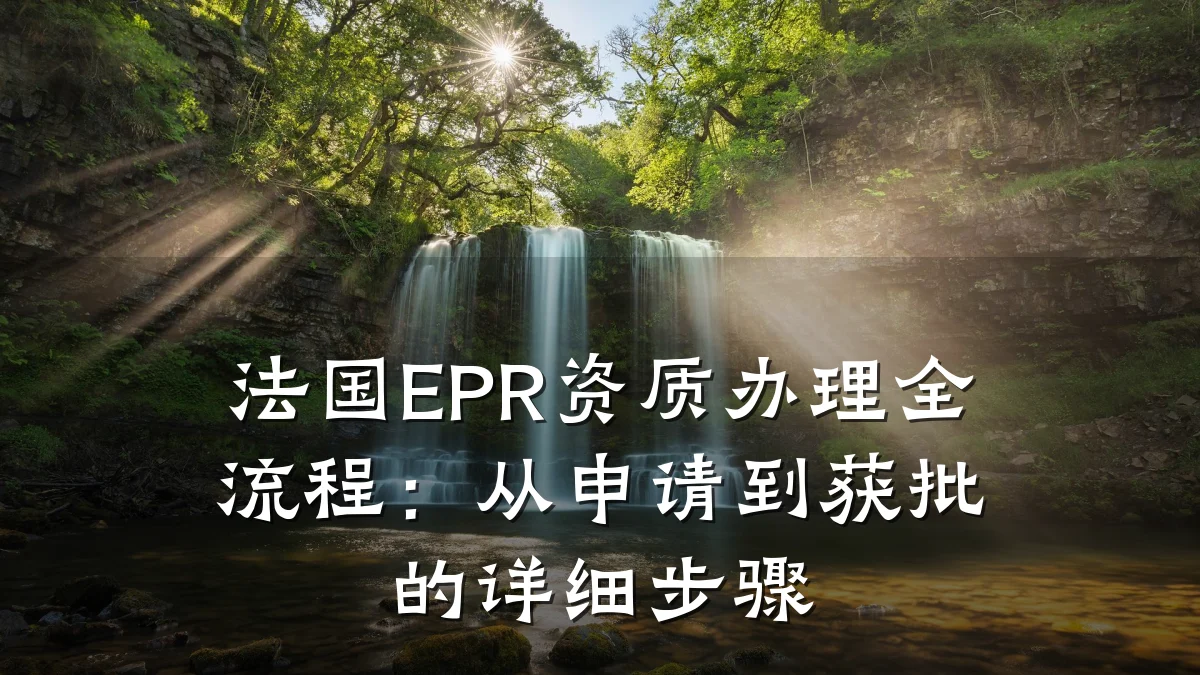 法国EPR资质办理全流程：从申请到获批的详细步骤