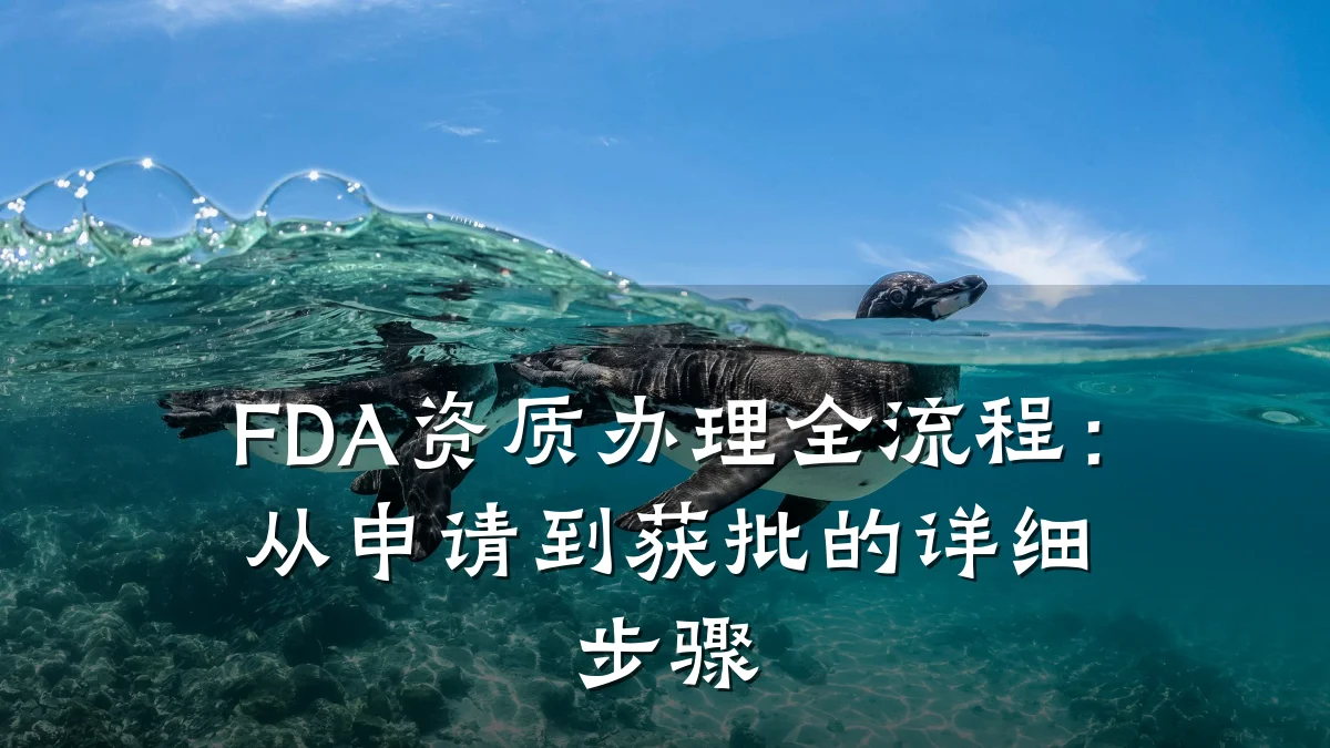 FDA资质办理全流程：从申请到获批的详细步骤