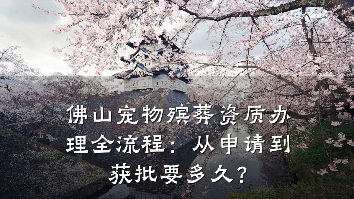 佛山宠物殡葬资质办理全流程：从申请到获批要多久？