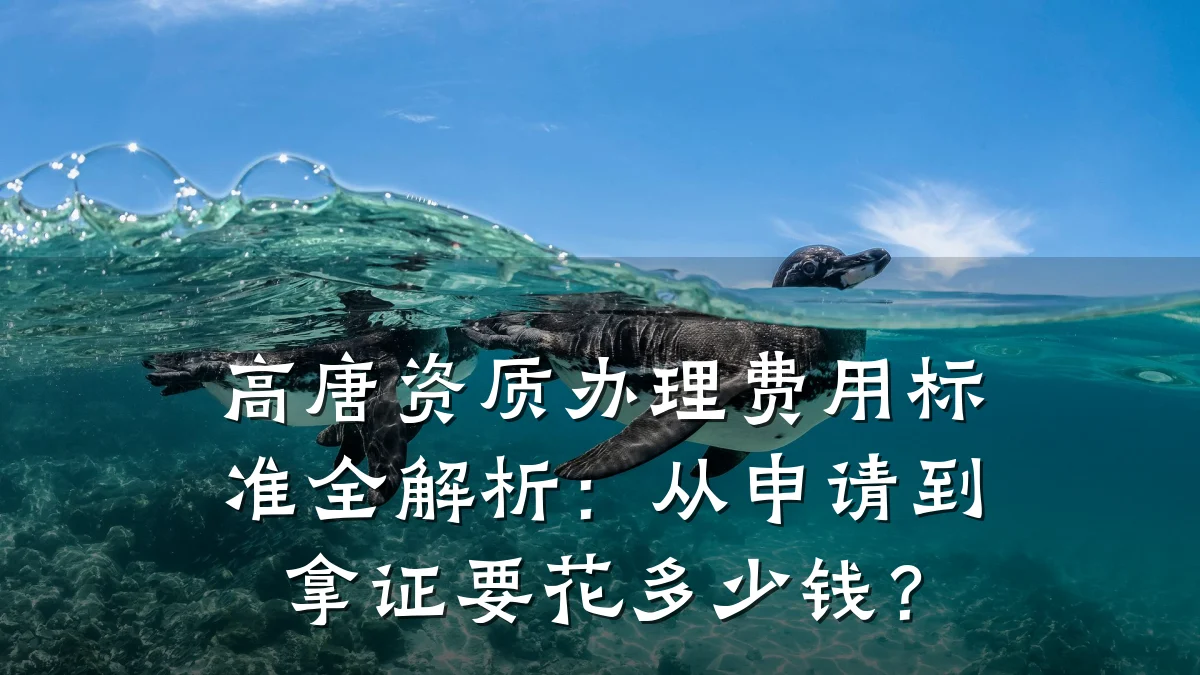 高唐资质办理费用标准全解析:从申请到拿证要花多少钱?