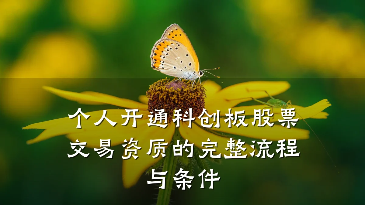 个人开通科创板股票交易资质的完整流程与条件