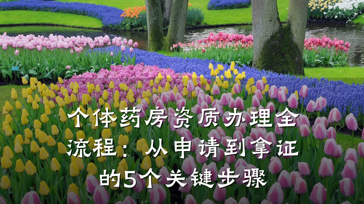 个体药房资质办理全流程：从申请到拿证的5个关键步骤