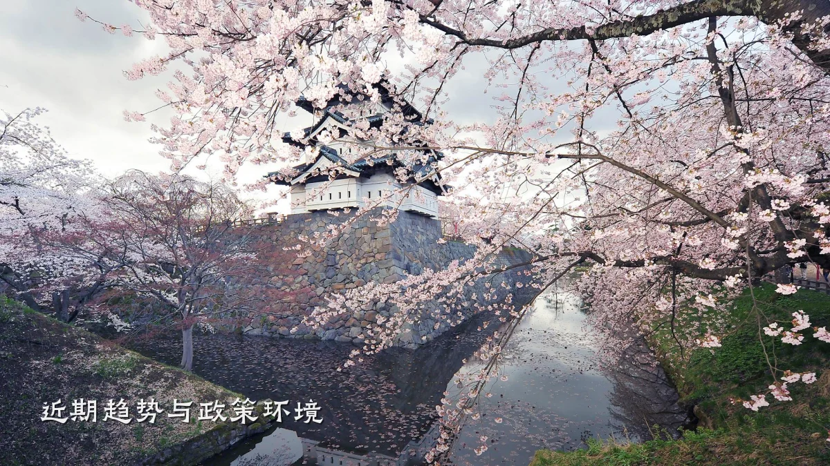近期趋势与政策环境