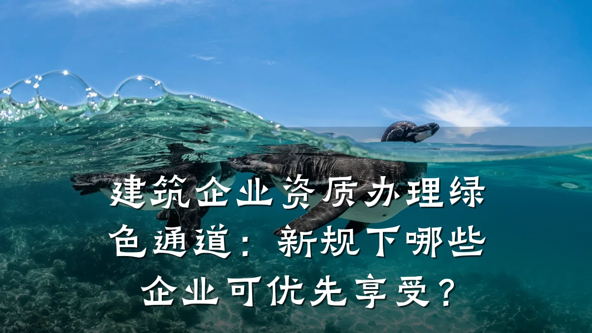 建筑企业资质办理绿色通道：新规下哪些企业可优先享受？