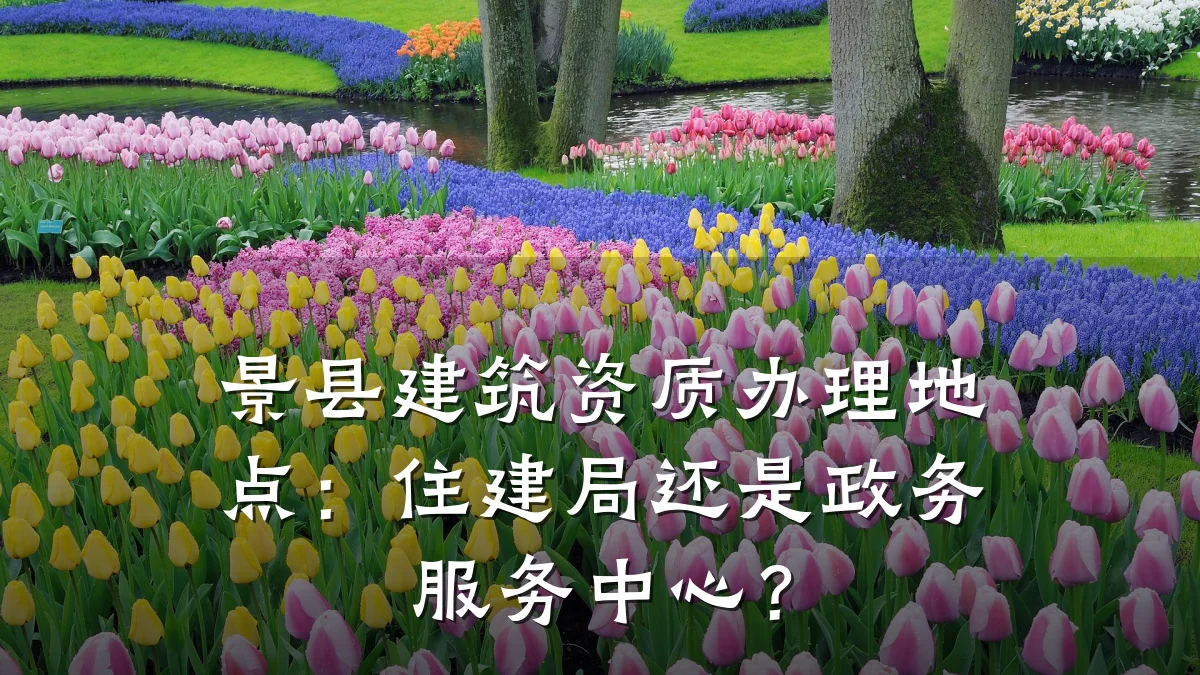 景县建筑资质办理地点:住建局还是政务服务中心?
