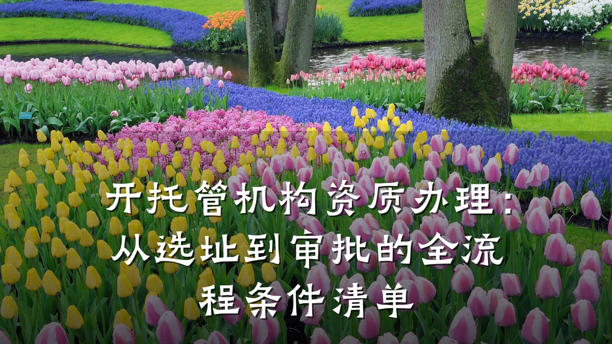 开托管机构资质办理：从选址到审批的全流程条件清单