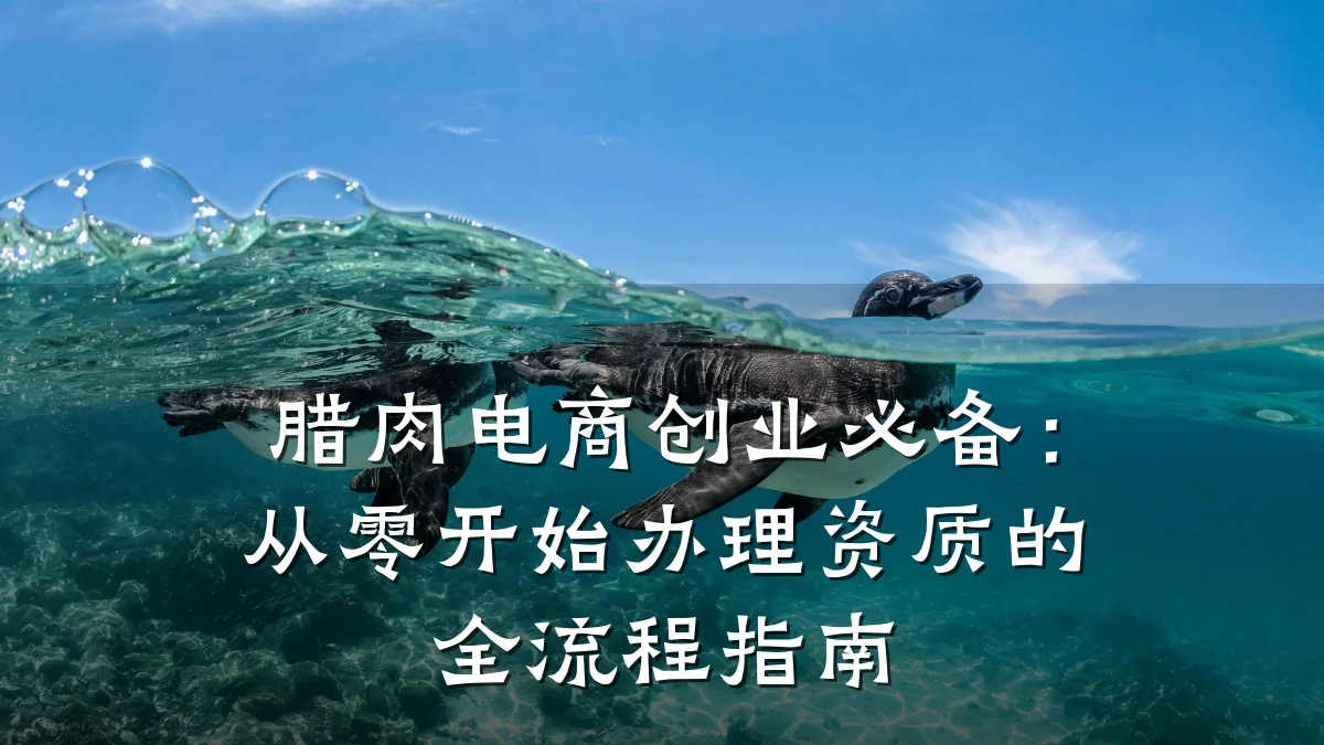 腊肉电商创业必备：从零开始办理资质的全流程指南
