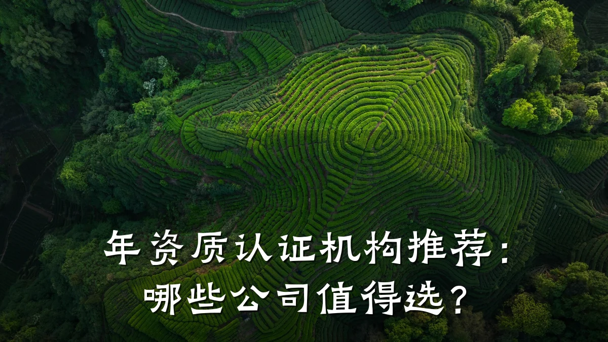 年资质认证机构推荐：哪些公司值得选？