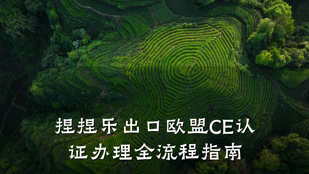 捏捏乐出口欧盟CE认证办理全流程指南
