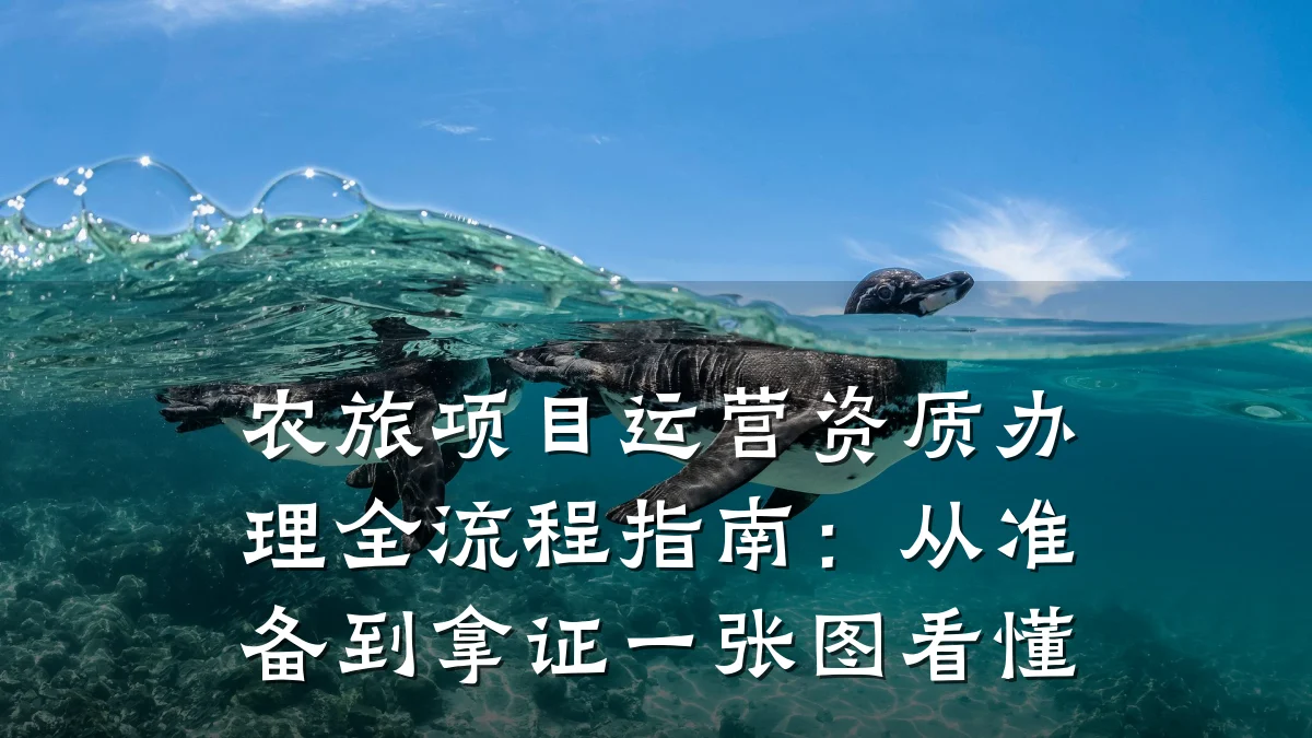 农旅项目运营资质办理全流程指南：从准备到拿证一张图看懂