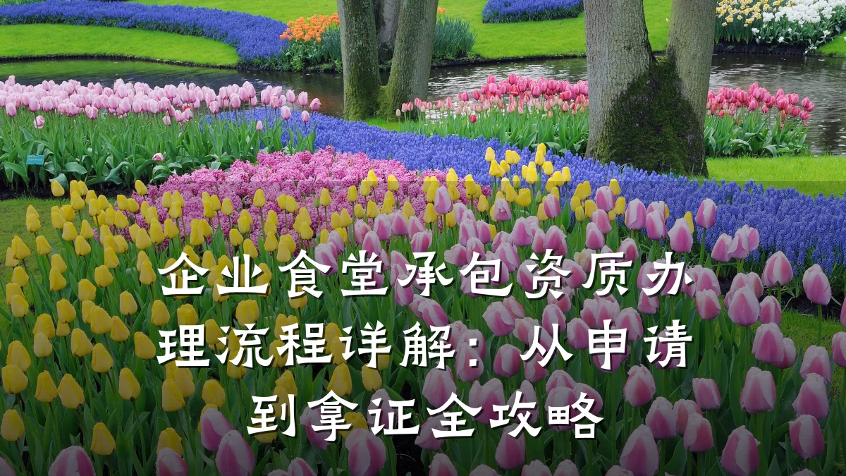 企业食堂承包资质办理流程详解：从申请到拿证全攻略
