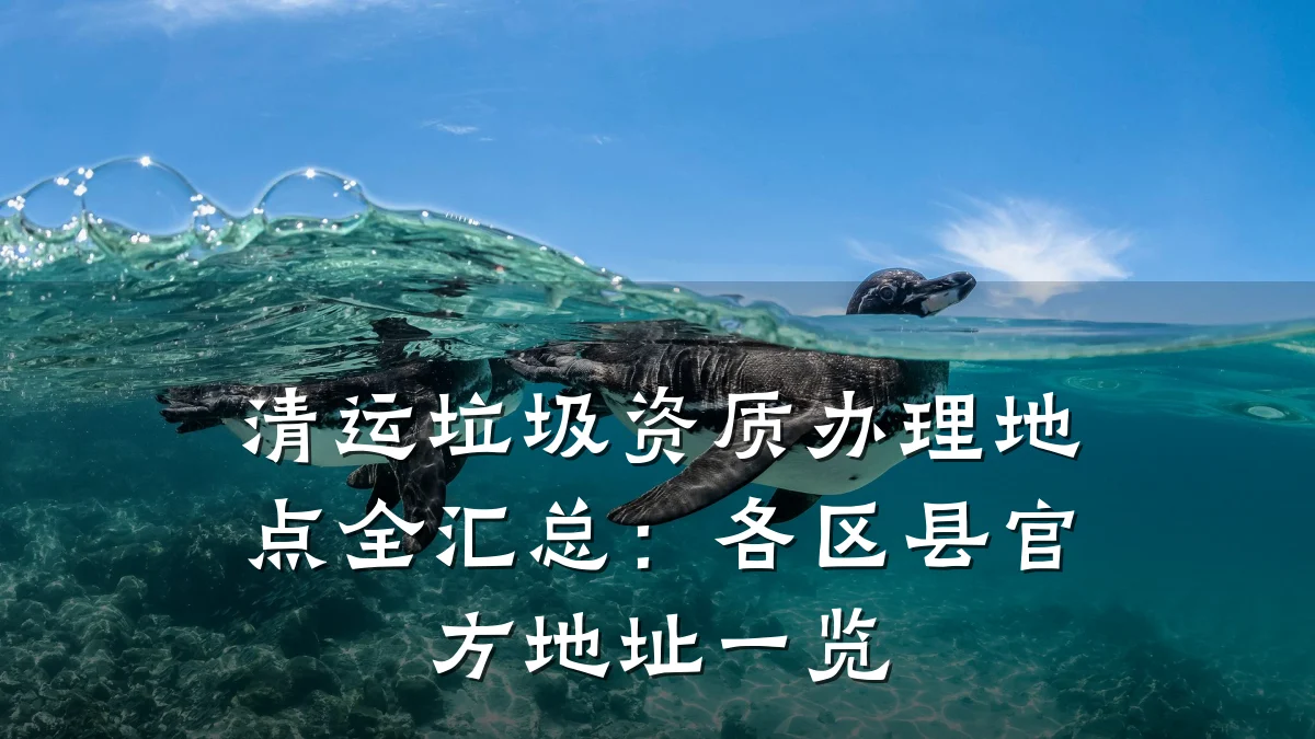 清运垃圾资质办理地点全汇总:各区县官方地址一览