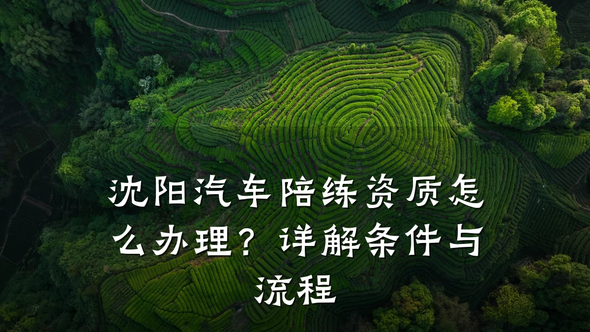 沈阳汽车陪练资质怎么办理?详解条件与流程