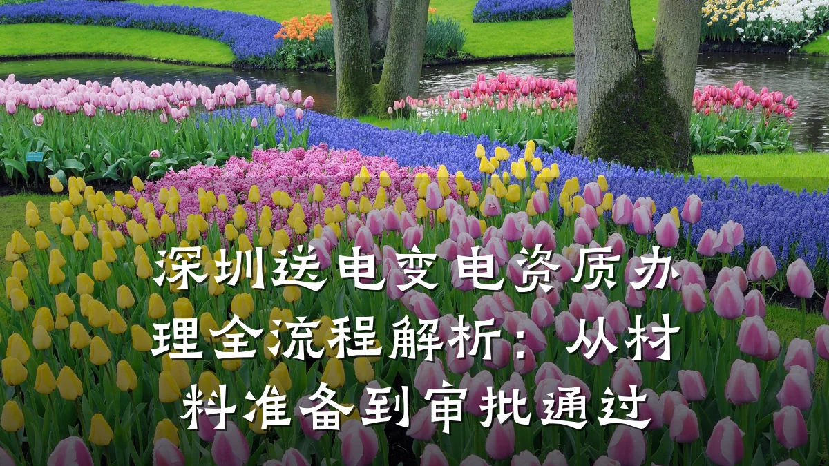 深圳送电变电资质办理全流程解析：从材料准备到审批通过