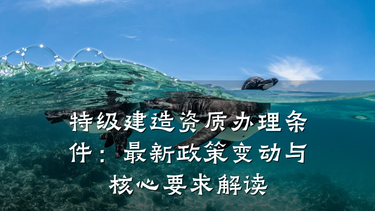 特级建造资质办理条件:最新政策变动与核心要求解读