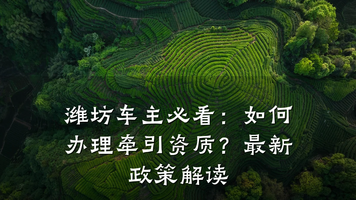 潍坊车主必看：如何办理牵引资质？最新政策解读