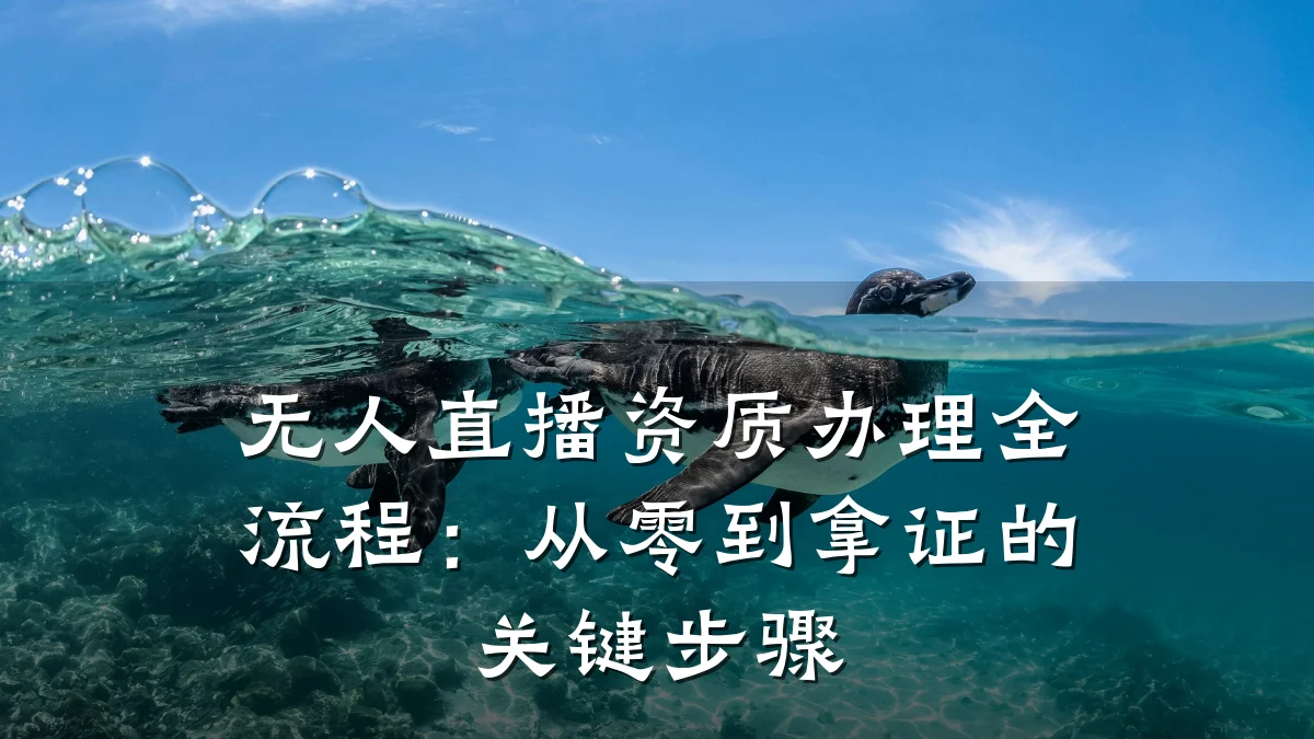 无人直播资质办理全流程：从零到拿证的关键步骤