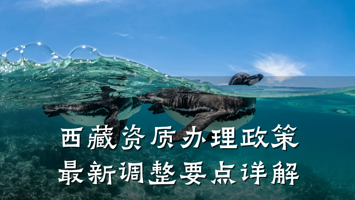 西藏资质办理政策最新调整要点详解
