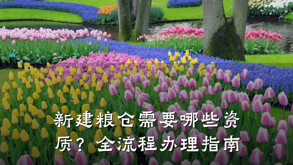 新建粮仓需要哪些资质？全流程办理指南