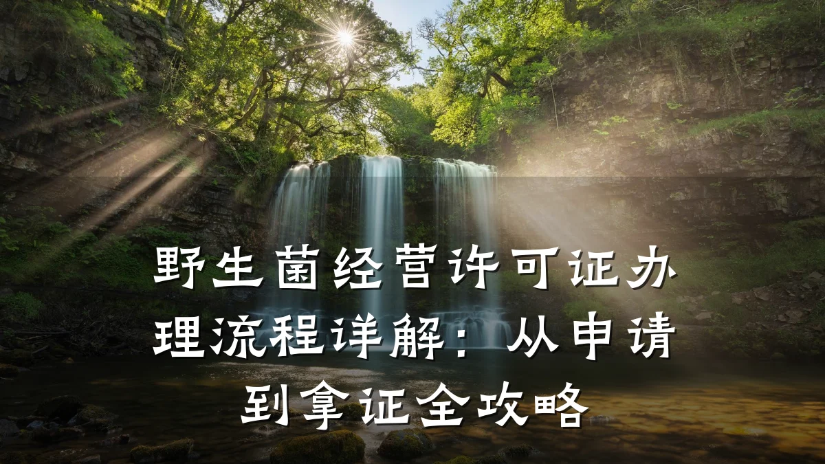 野生菌经营许可证办理流程详解：从申请到拿证全攻略