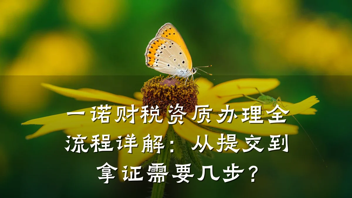 一诺财税资质办理全流程详解：从提交到拿证需要几步？
