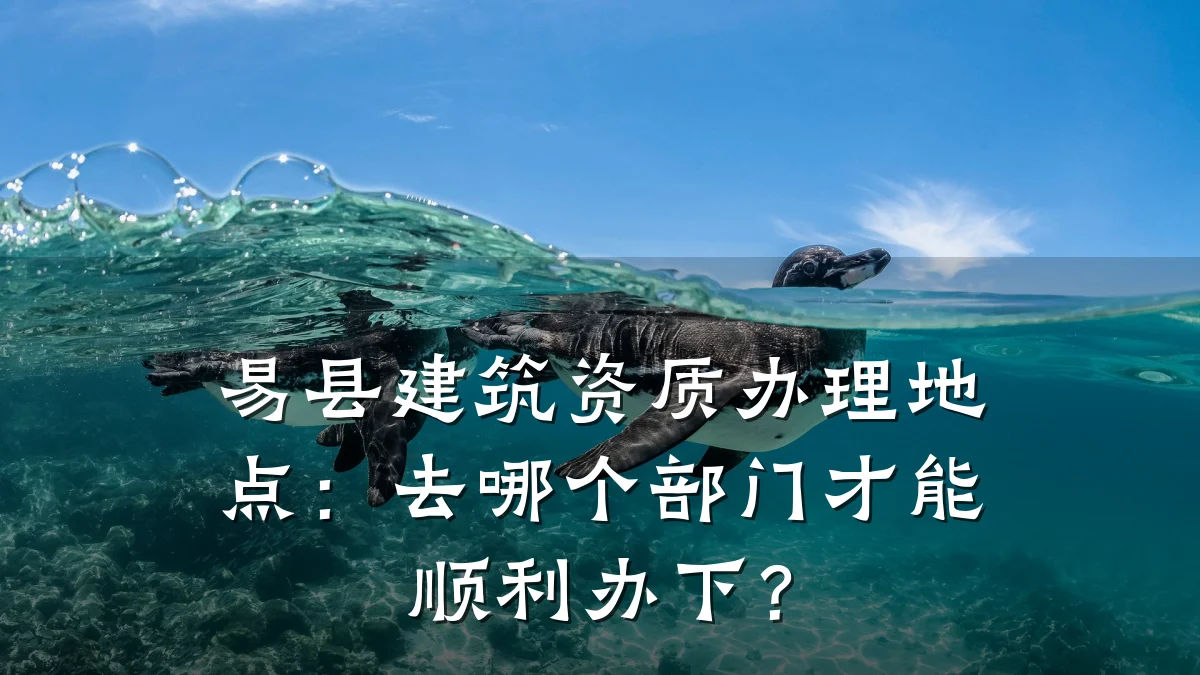 易县建筑资质办理地点:去哪个部门才能顺利办下?