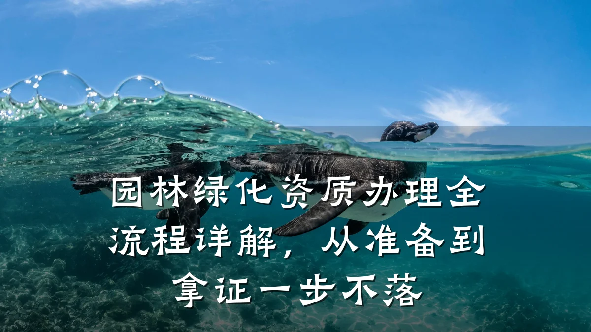 园林绿化资质办理全流程详解，从准备到拿证一步不落