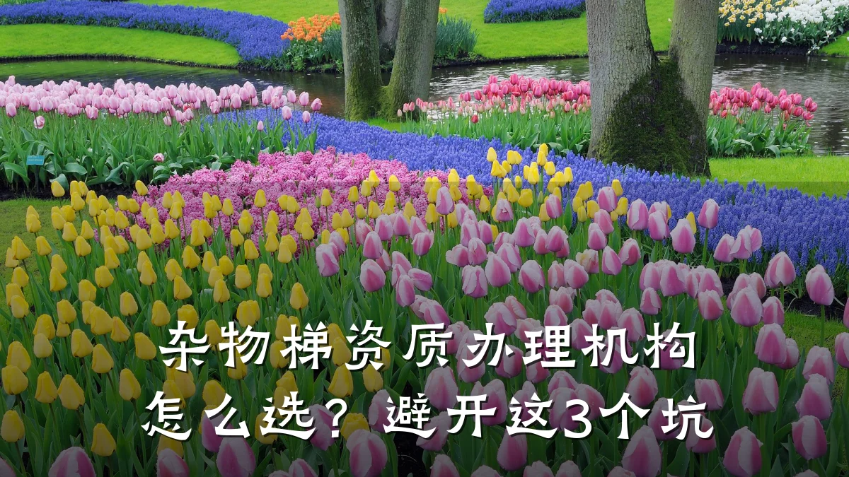 杂物梯资质办理机构怎么选？避开这3个坑