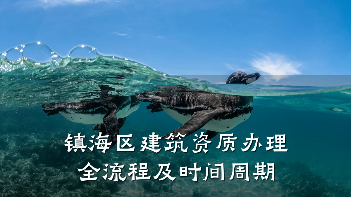镇海区建筑资质办理全流程及时间周期