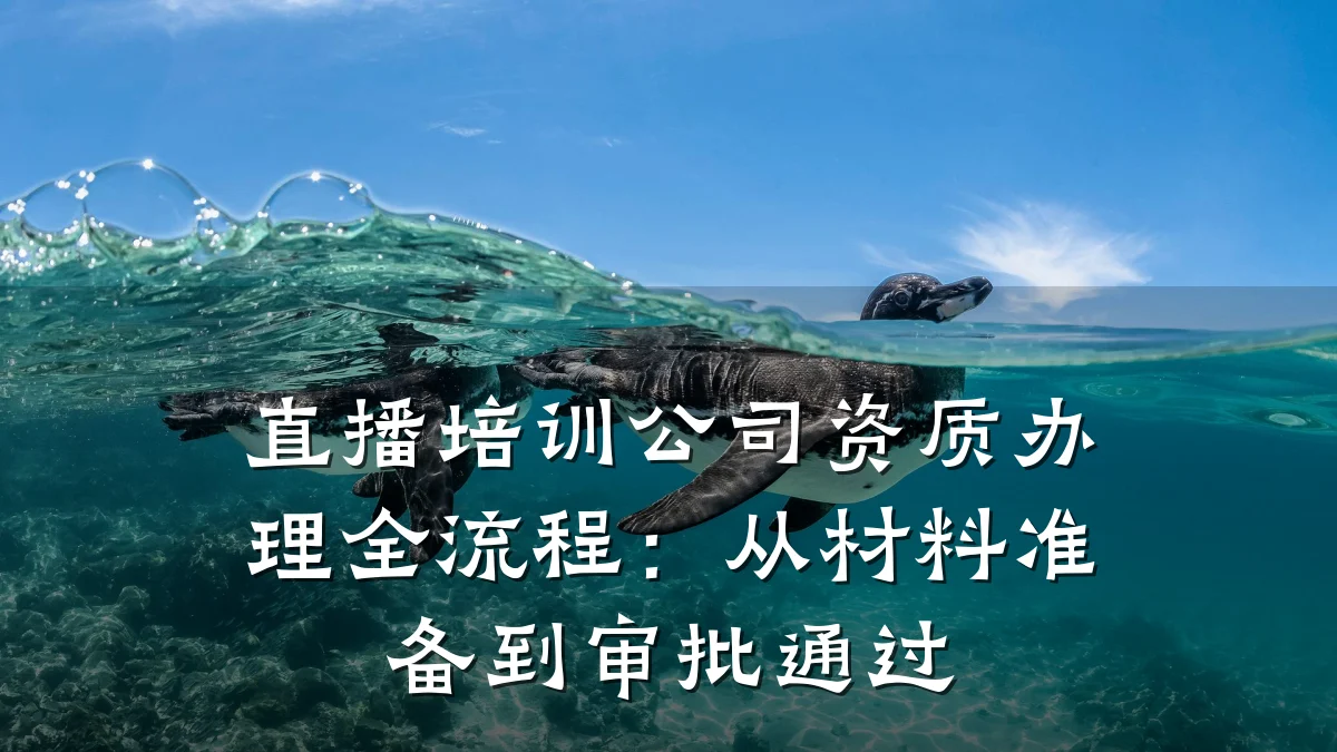 直播培训公司资质办理全流程:从材料准备到审批通过